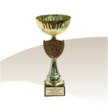 Bratoszewice 2008
