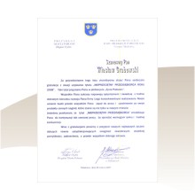Nieprzecitny Przedsibiorca Roku 2008
